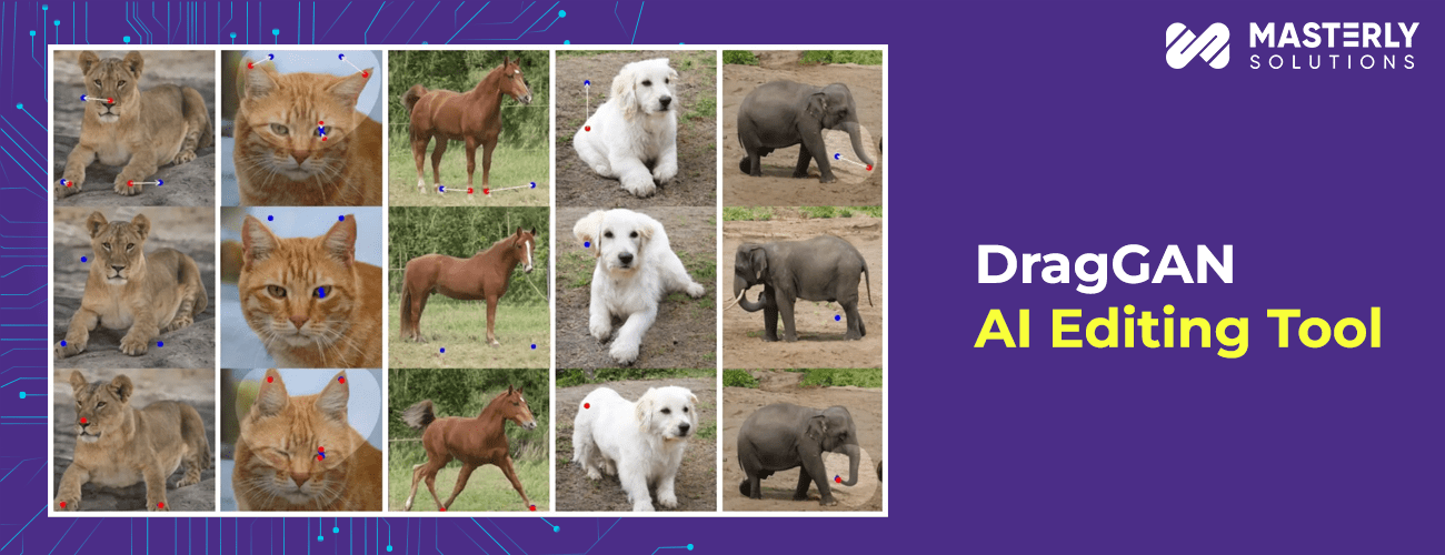 graggan-ai-photo-editing-tool